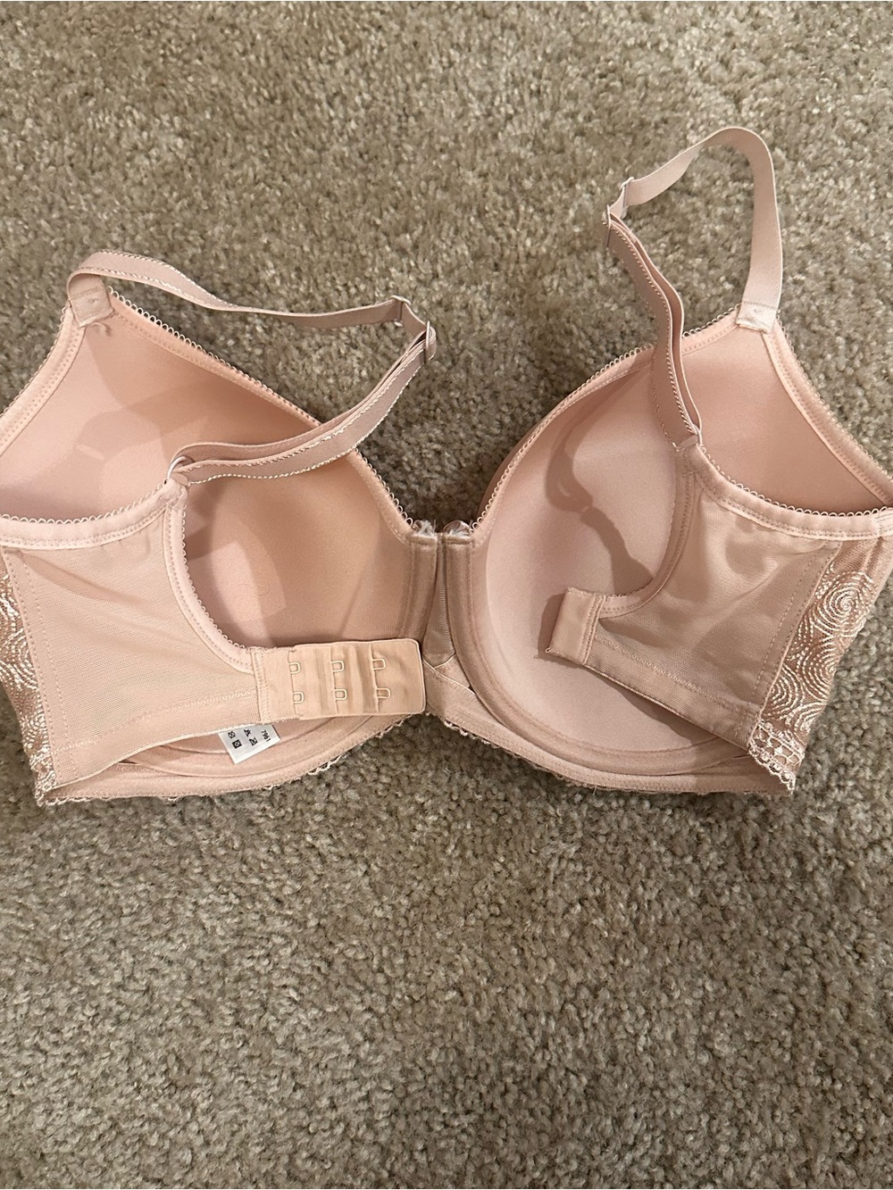 Panache Cari 7961 T-Shirt Bra 28GG UK Nude Beige Spacer Molded Underwire Lace - Picture 3 of 8